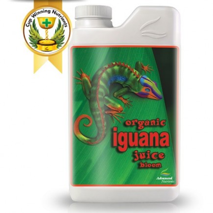 Organic Iguana Juice Bloom